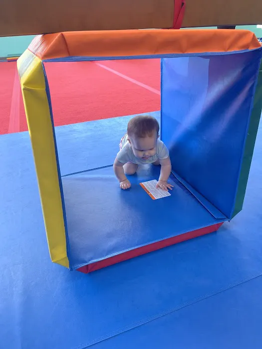 The Little Gym of Myrtle Beach Picture 6