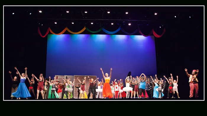 The Dance Element Picture 3
