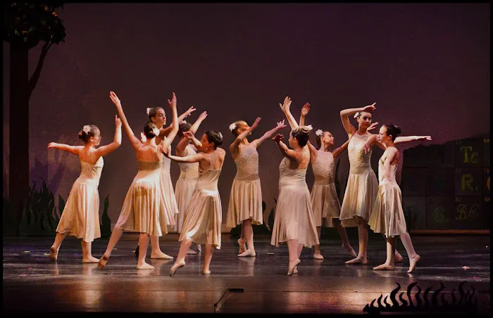 The Dance Element Picture 10