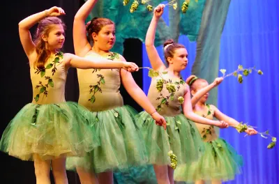 Elevate Ballet Co Picture 9