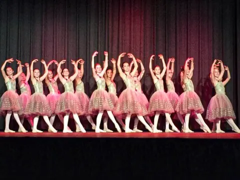 Sanford School of Classical Ballet Picture 5