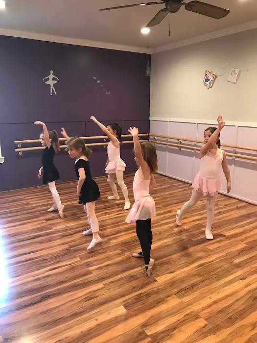 Bada Bling Ballet Picture 4