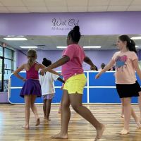 3D Dance ico