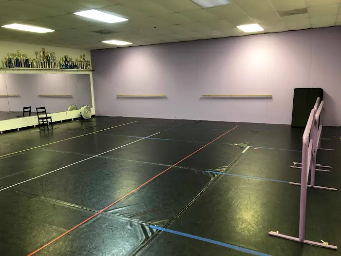 The Dance and Tumble Company Picture 3