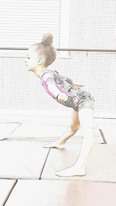 Artistry In Motion Performing Arts Center Picture 8