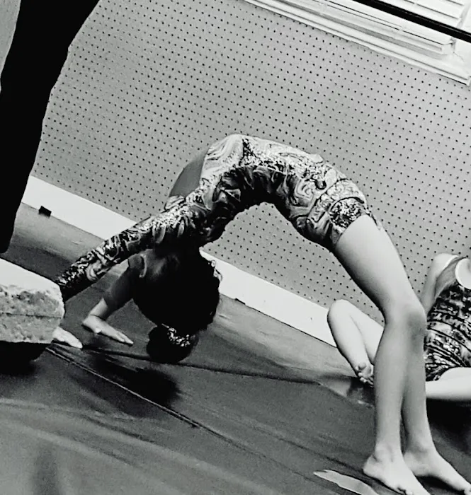 Artistry In Motion Performing Arts Center Picture 7