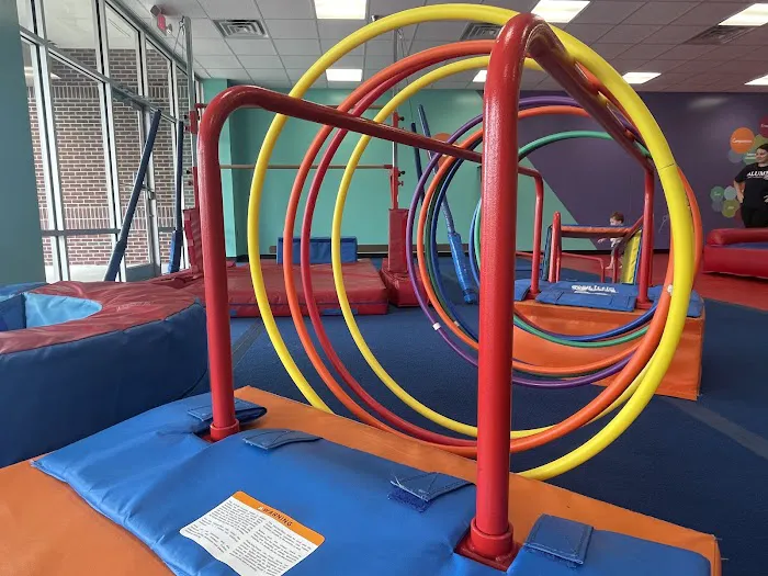 The Little Gym of Wilmington, NC Picture 5
