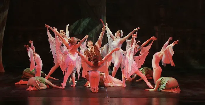 City Ballet of Wilmington Picture 2