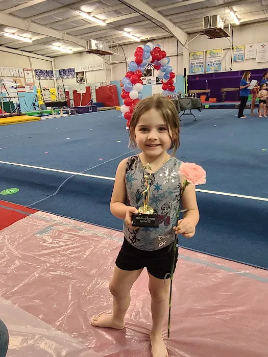 Stanly County Gymnastics Picture 2