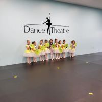 Dance Theatre of Jacksonville ico