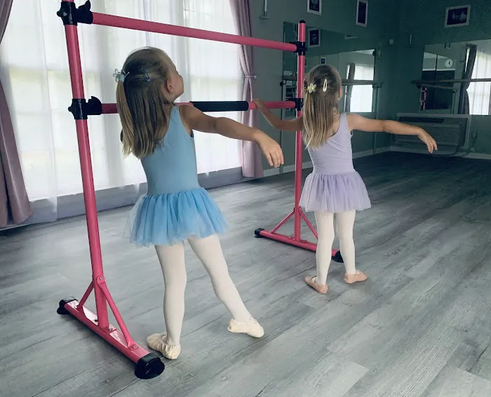 Dance Studio Elegance Picture 8