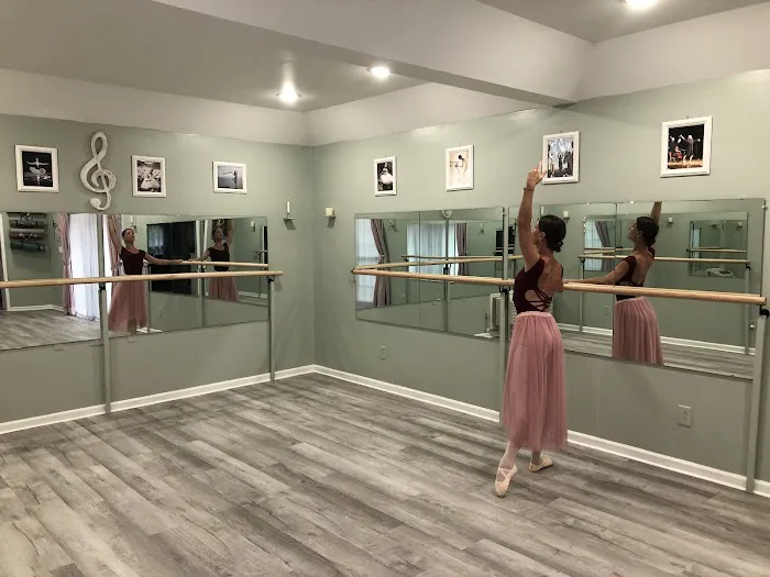 Dance Studio Elegance Picture 10