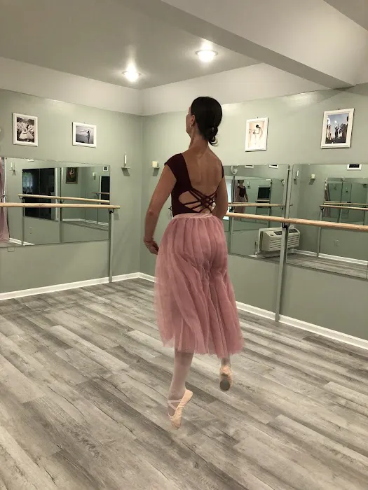 Dance Studio Elegance Picture 5