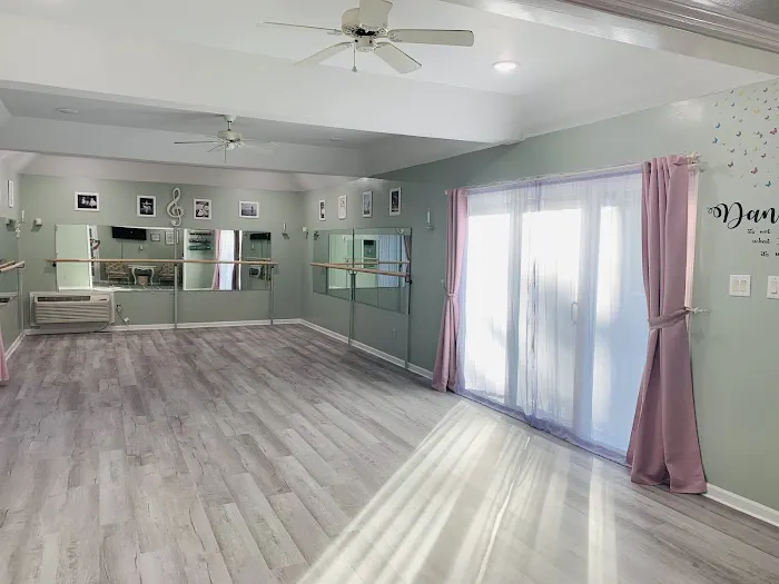 Dance Studio Elegance Picture 4