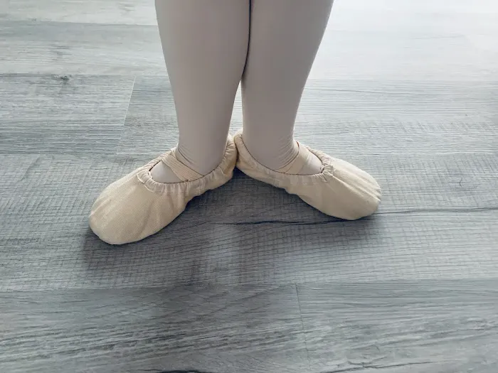 Dance Studio Elegance Picture 7