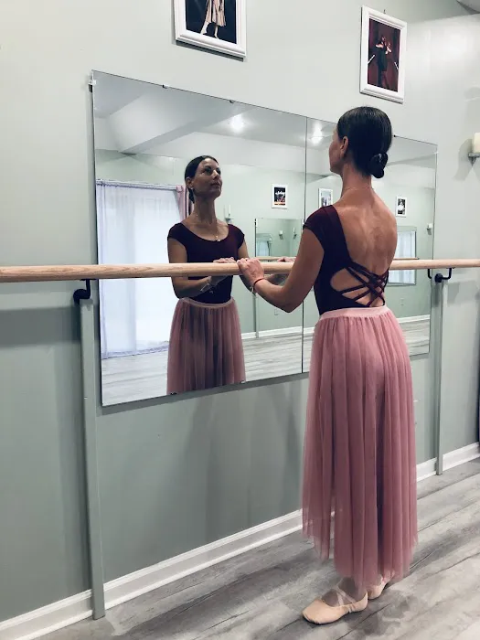 Dance Studio Elegance Picture 6