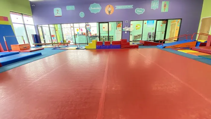 The Little Gym of Jacksonville, NC Picture 7