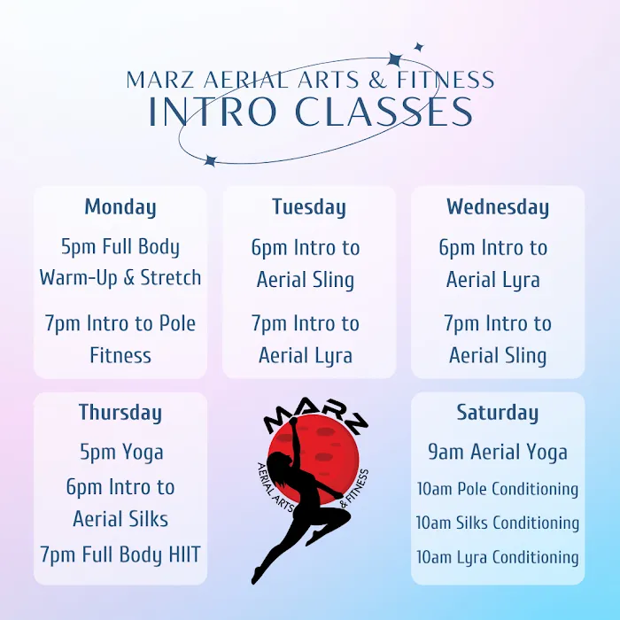 Marz Aerial Arts & Fitness Picture 10