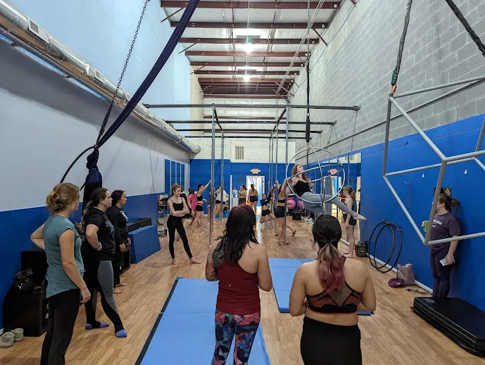 Marz Aerial Arts & Fitness Picture 4