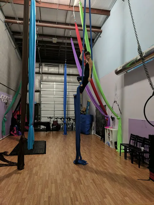Marz Aerial Arts & Fitness Picture 6