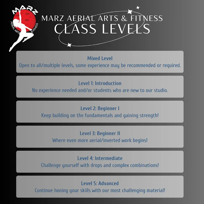 Marz Aerial Arts & Fitness Picture 8