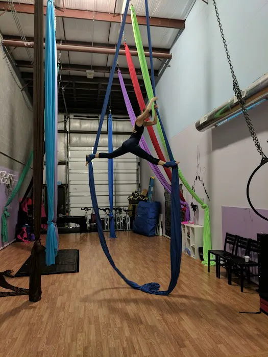 Marz Aerial Arts & Fitness Picture 9