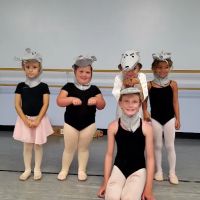 Dance Arts Studio, Inc. ico