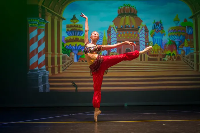 Cobble Hill Ballet Picture 8
