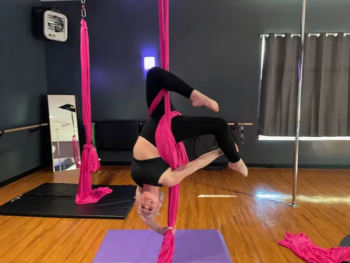 Love Pole Fitness and Aerial Arts Picture 6