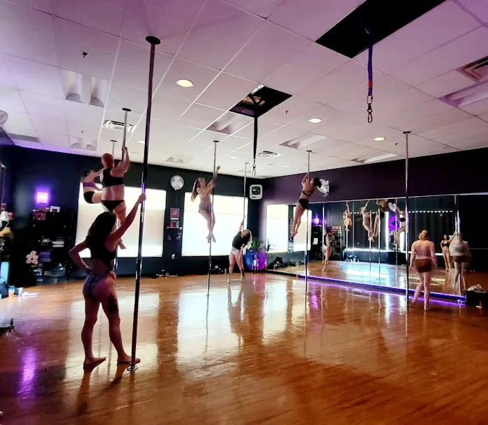 Love Pole Fitness and Aerial Arts Picture 3