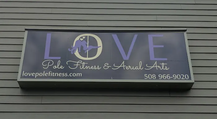 Love Pole Fitness and Aerial Arts Picture 5