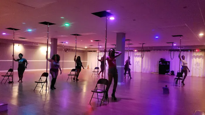 Twirl n Shape Pole Fitness Picture 8