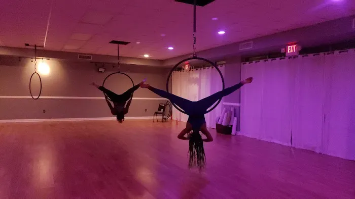Twirl n Shape Pole Fitness Picture 3
