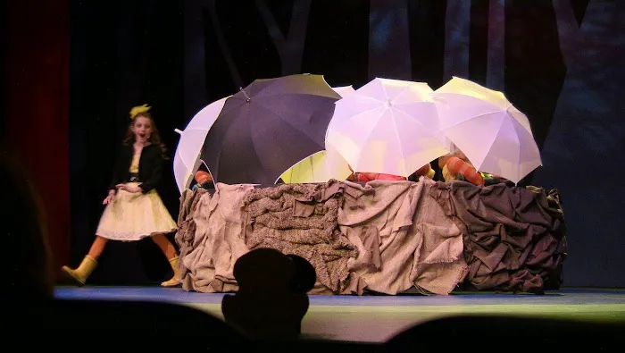 Area Stage Picture 1