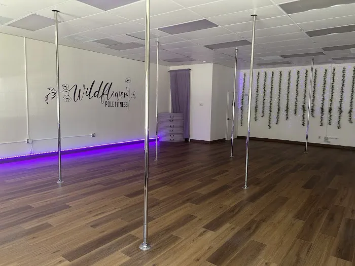 Wildflower Pole Fitness LLC Picture 1