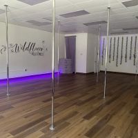 Wildflower Pole Fitness LLC ico