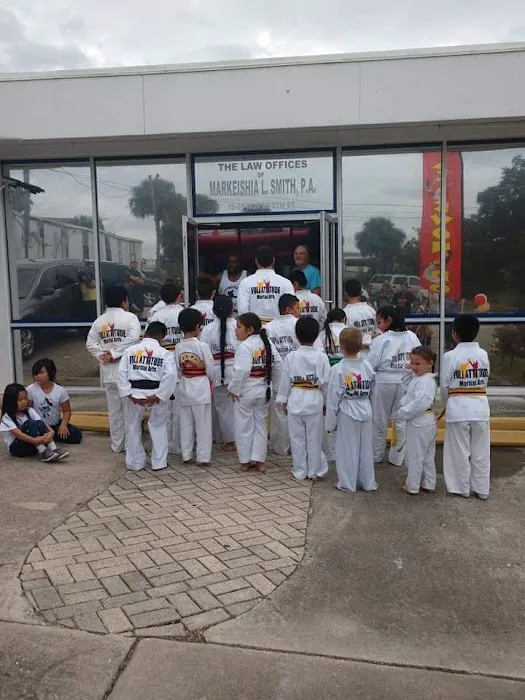 Full Attitude Martial Arts And The Epic Center Picture 3