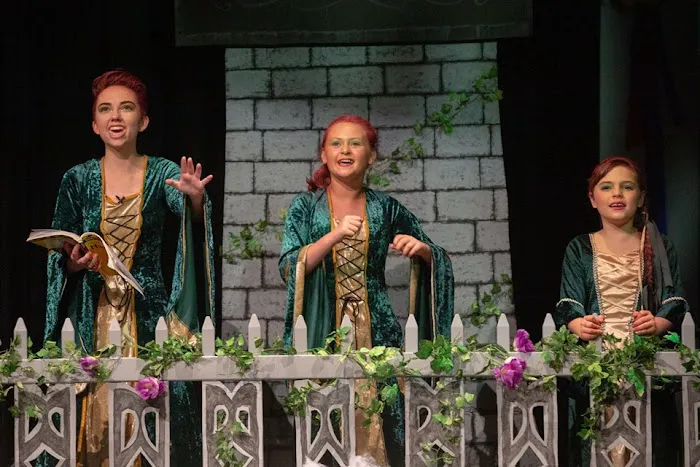 The Viera Studio for the Performing Arts Picture 3
