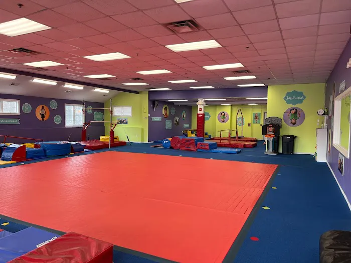 The Little Gym of Medway Picture 2