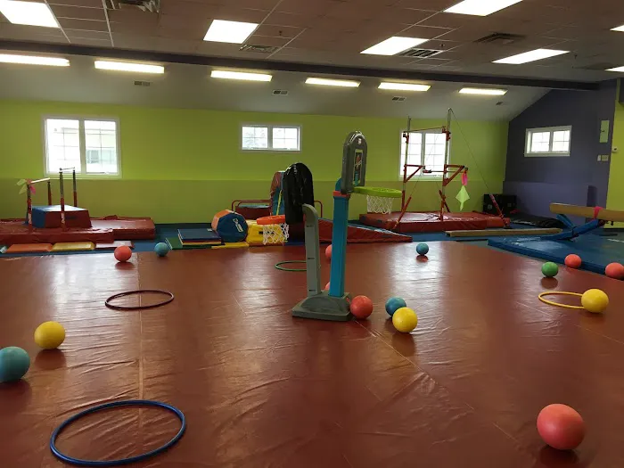 The Little Gym of Medway Picture 4