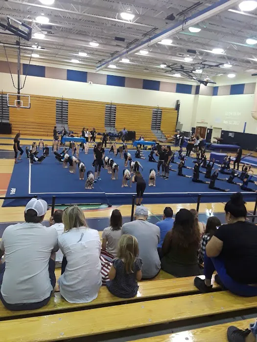 Flip City Gym Picture 3