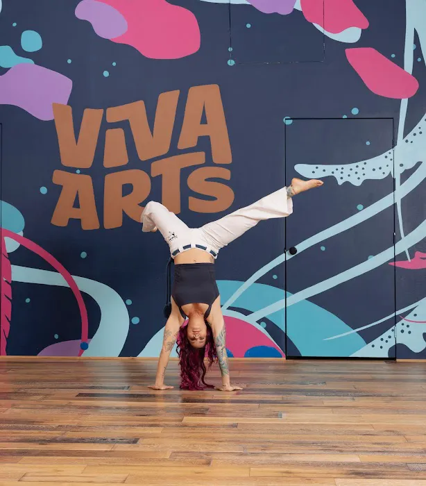 VivaArts Picture 3