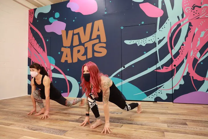 VivaArts Picture 6