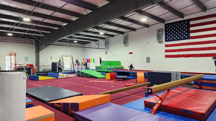 Twist'N Flip Gymnastics Picture 5