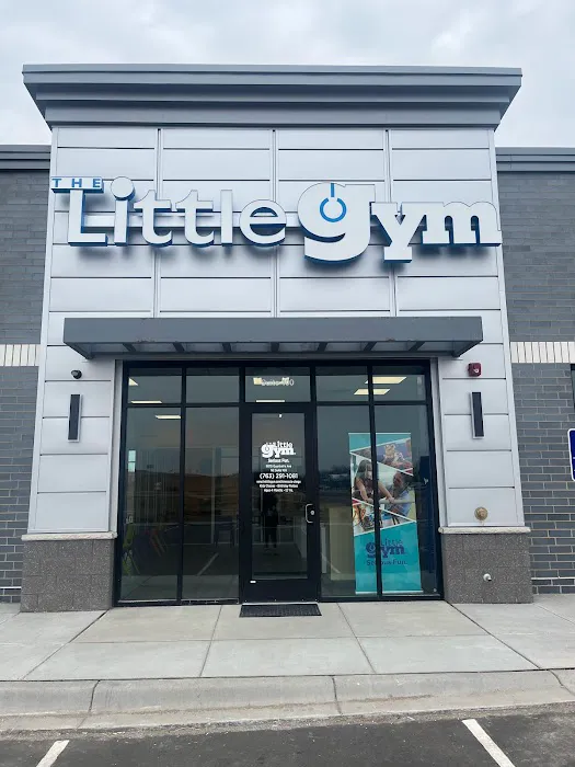 The Little Gym of Otsego Picture 6