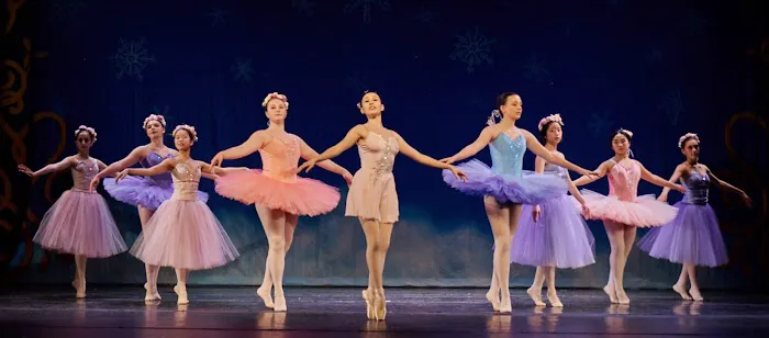 Fadeyev Ballet Picture 6
