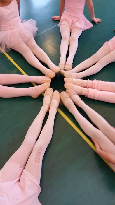Dance Academy of Bloomfield Hills Picture 1