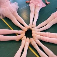 Dance Academy of Bloomfield Hills ico