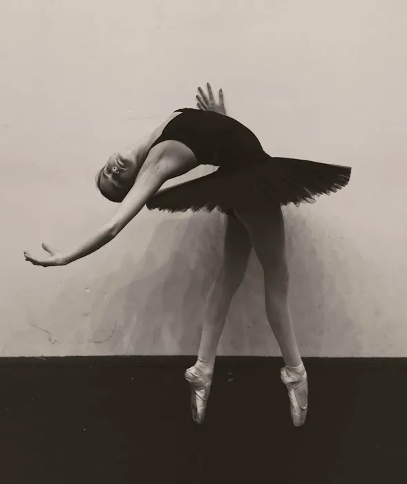 Dance Academy of Bloomfield Hills Picture 5