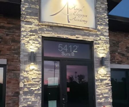Aerial Elegance Academy